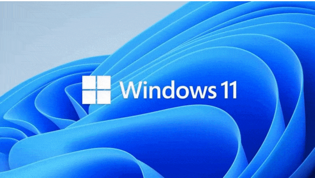 windows11 Feature