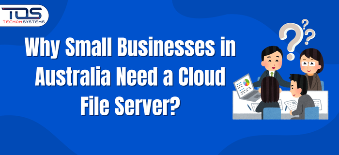 Affordable cloud file server solutions